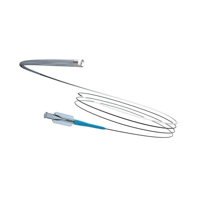 Micro-Catheter แบบบริโภคได้